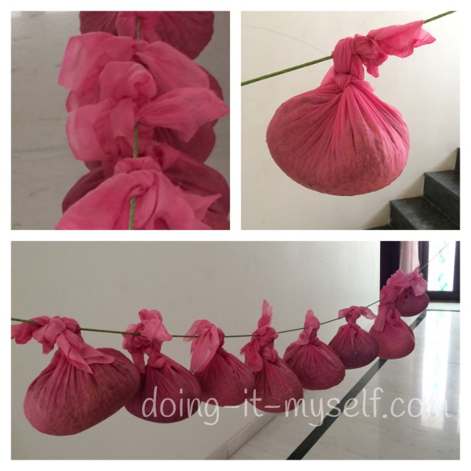 sprouting-millets-pulses