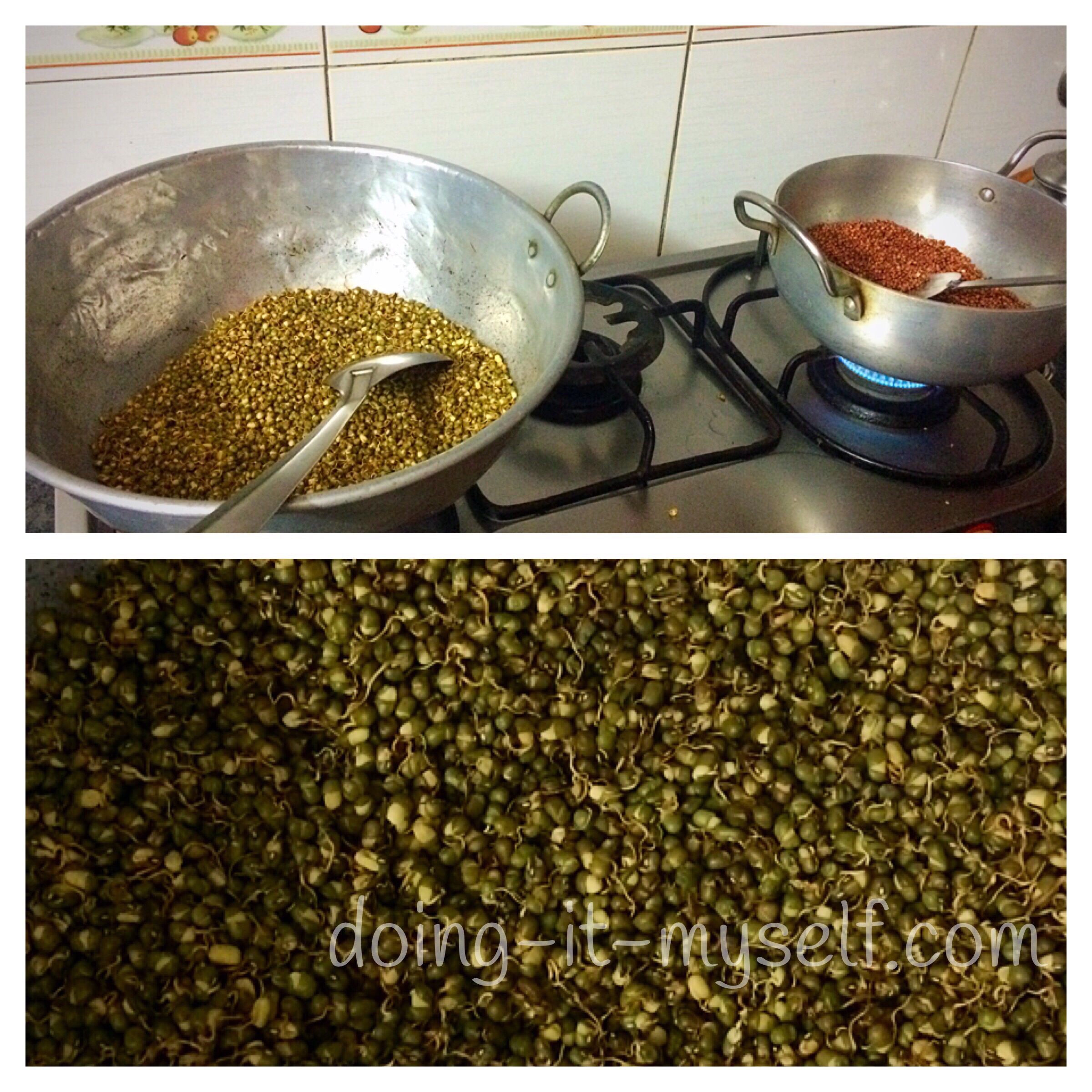 dry-fry-dried-sprouts