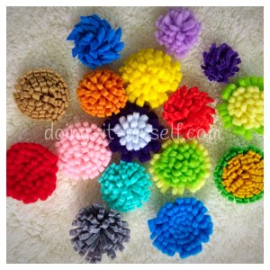 fb_dim_fringed flower